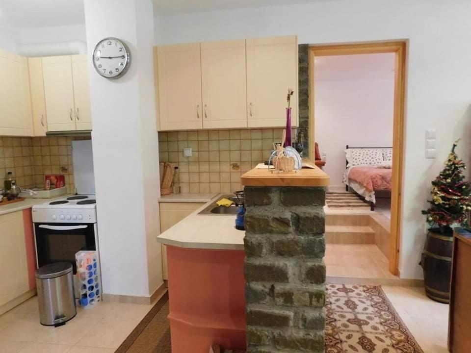 Villa Roula Mikrospilia Extérieur photo