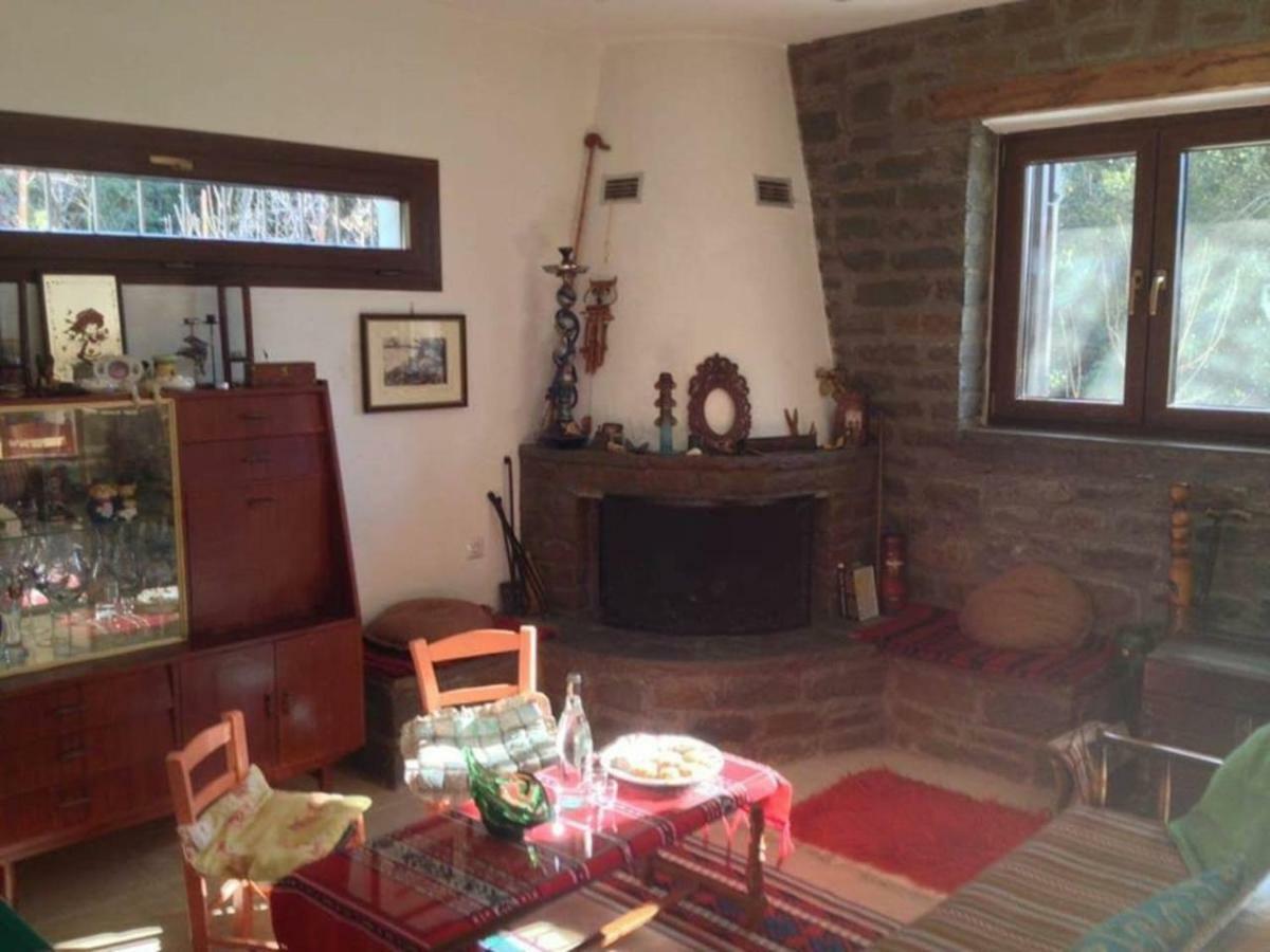 Villa Roula Mikrospilia Extérieur photo